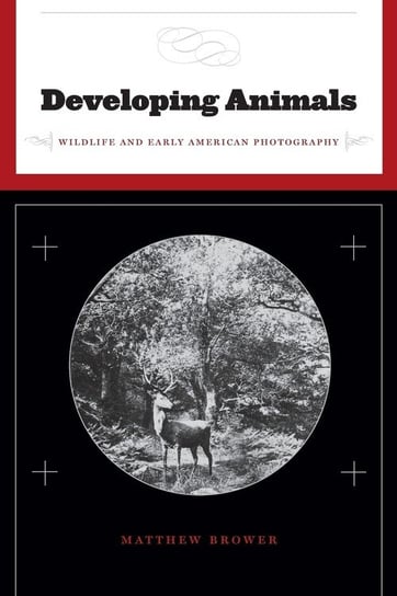Developing Animals Brower Matthew