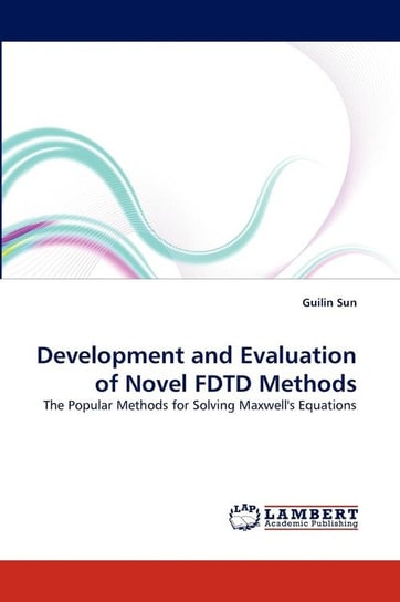 Development and Evaluation of Novel FDTD Methods Sun Guilin