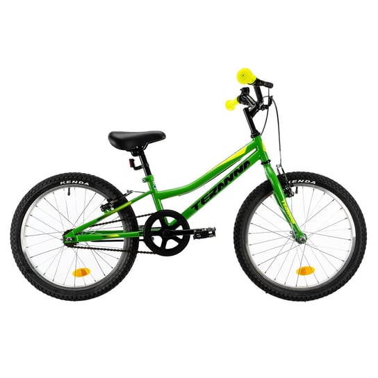DHS, rower dziecięcy Teranna 2003, 20" - model 2019, zielony DHS