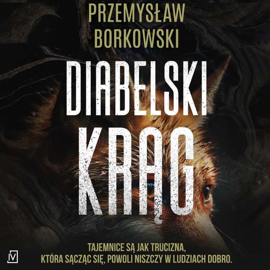 Diabelski krąg Borkowski Przemysław