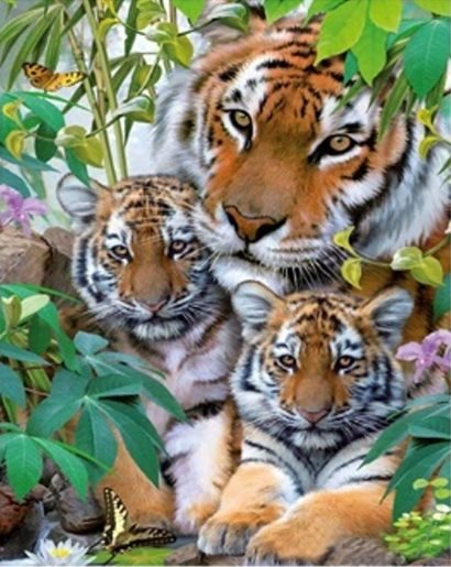 Diamentowa Mozaika Tygrysy Trzy W Liściach Norimpex