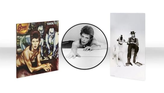 Diamond Dogs (winyl ze zdjęciem) Bowie David