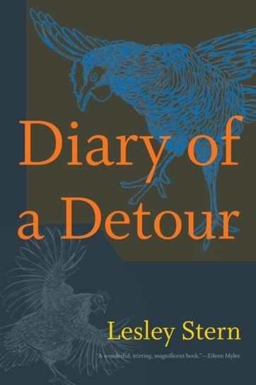 Diary of a Detour Lesley Stern