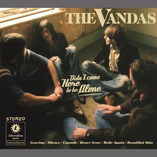 Didn't Come Here To Be Alone The Vandas