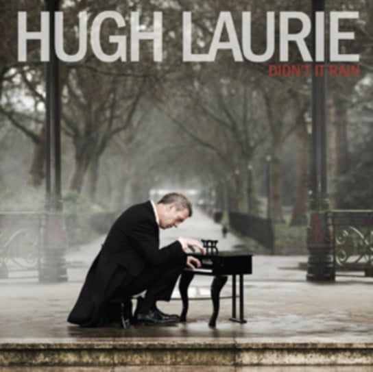 Didn't It Rain Laurie Hugh