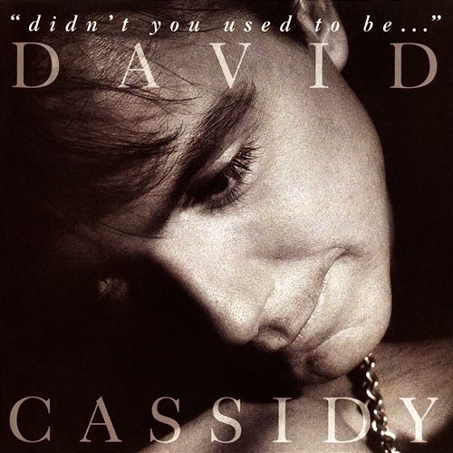 Didn't You Used To Be... David Cassidy