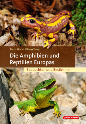 Die Amphibien und Reptilien Europas Quelle & Meyer