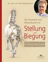 Die Anatomie und Biomechanik von Stellung und Biegung Heuschmann Gerd