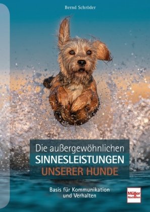 Die außergewöhnlichen Sinnesleistungen unserer Hunde Müller Rüschlikon