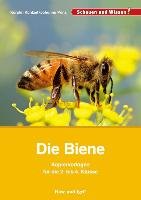 Die Biene - Kopiervorlagen für die 2. bis 4. Klasse Kuntzel Karolin N., Prinz Johanna