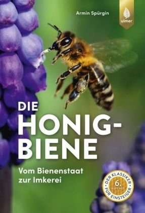 Die Honigbiene Verlag Eugen Ulmer