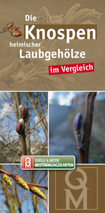 Die Knospen heimischer und kultivierter Laubgehölze im Vergleich Quelle + Meyer, Quelle&Meyer Verlag Gmbh&Co.