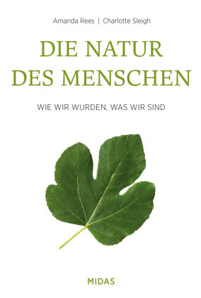 Die Natur des Menschen Midas