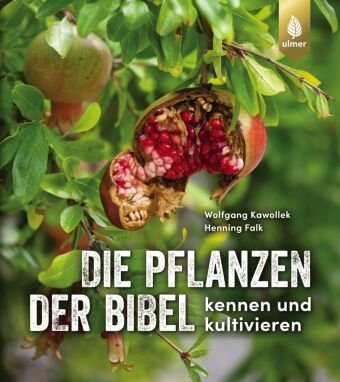 Die Pflanzen der Bibel Verlag Eugen Ulmer