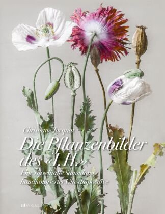 Die Pflanzenbilder des "I. H." AT Verlag