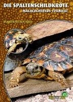 Die Spaltenschildkröte Rogner Manfred