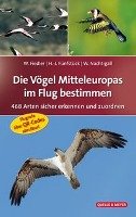 Die Vögel Mitteleuropas im Flug bestimmen Fiedler Wolfgang, Funfstuck Hans-Joachim, Nachtigall Werner