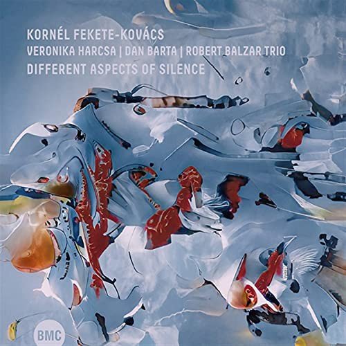 Different Aspects Of Silence Various Artists