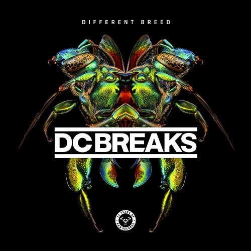 Different Breed DC Breaks
