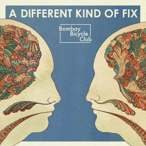 Different Kind Of Fix Bombay Bicycle Club