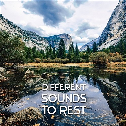 Different Sounds to Rest – Time for Reflections with Peaceful Music, Eternal Bliss, Soul Relax and Spiritual Enlightenment Restful Music Consort