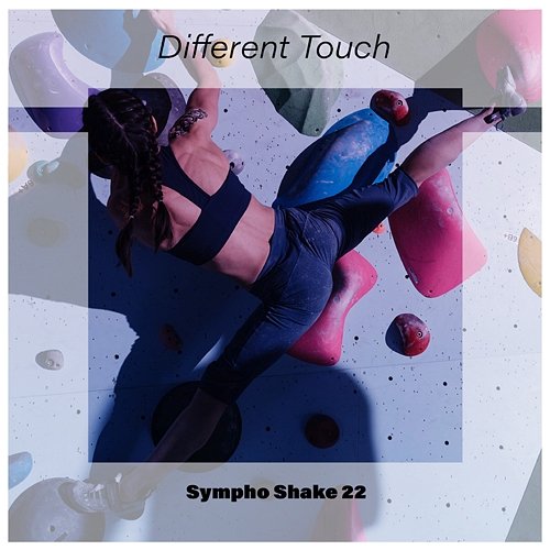 Different Touch Sympho Shake 22 Various Artists