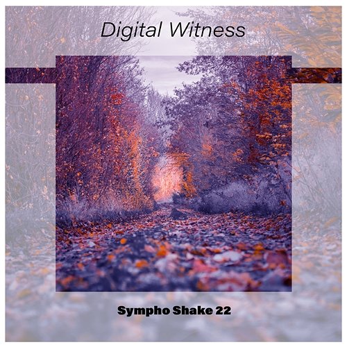 Digital Witness Sympho Shake 22 Various Artists
