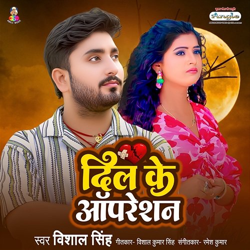Dil Ke Operation Vishal Singh