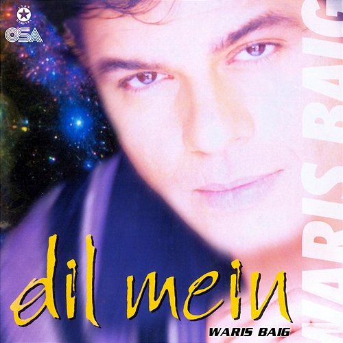 Dil Mein Waris Baig