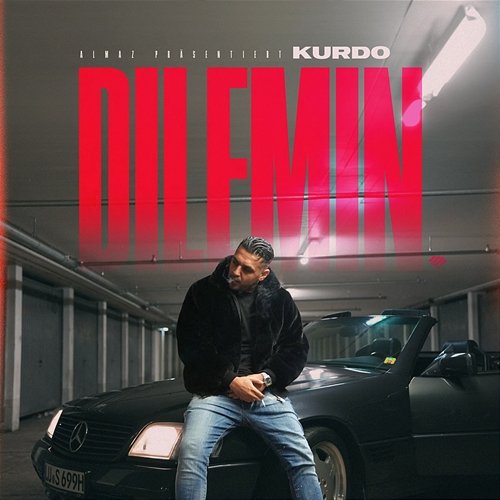 DILEMIN Kurdo