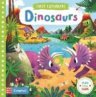 Dinosaurs Macmillan Children's Books