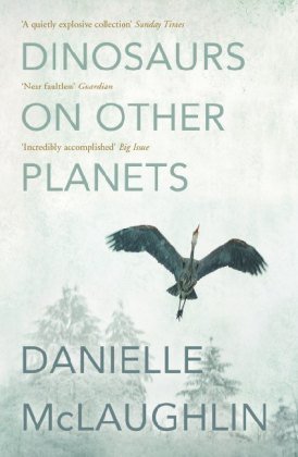 Dinosaurs on Other Planets Mclaughlin Danielle