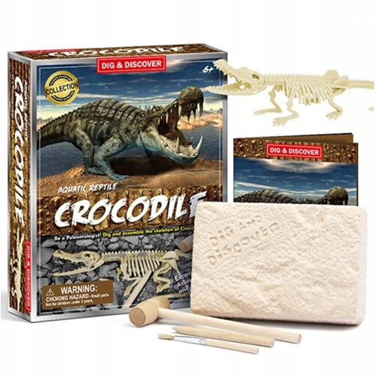 Dinozaur Krokodyl Wykopalisko Młody Paleontolog 3d Learning Resources