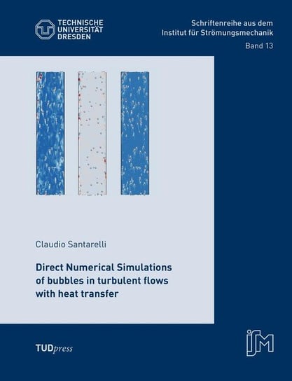 Direct Numerical Simulations of bubbles in turbulent flows with heat transfer Santarelli Claudio