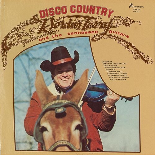 Disco Country Gordon Terry feat. The Tennessee Guitars