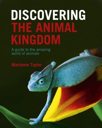 Discovering The Animal Kingdom. A guide to the amazing world of animals Taylor Marianne