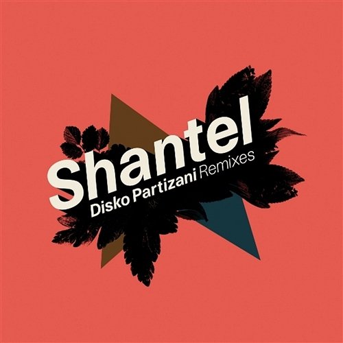 Disko Partizani Remixes Shantel