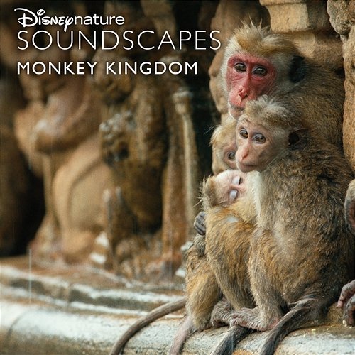 Disneynature Soundscapes: Monkey Kingdom Disneynature Soundscapes