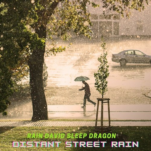 Distant Street Rain Rain David Sleep Dragon