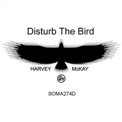 Disturb The Bird Harvey McKay