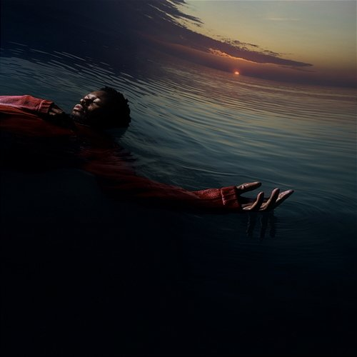 DIVE IN Nonso Amadi