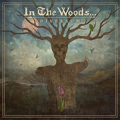 Diversum, płyta winylowa In the Woods