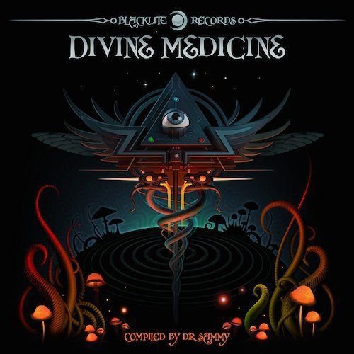 Divine Medicine Various Artists