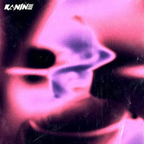 Division Kanine