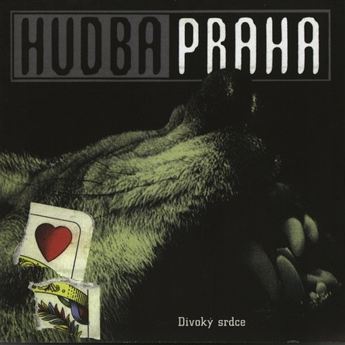 Divoky srdce Hudba Praha