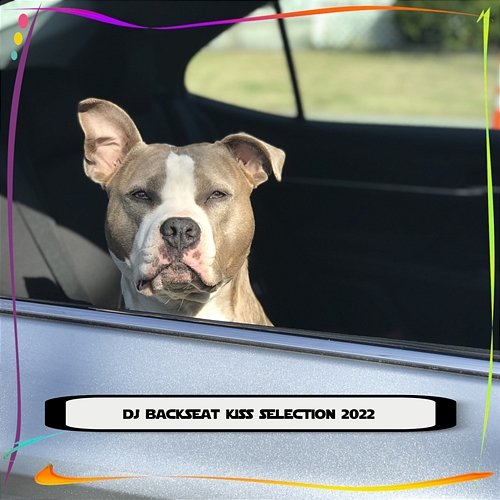 DJ BACKSEAT KISS SELECTION 2022 Various Artists