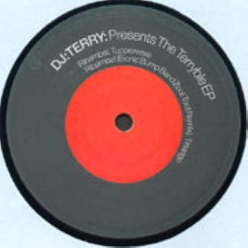 Dj Terry Presents / The Terryble Ep Various Artists