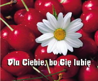 Dla Ciebie, bo Cię lubię Bocian Renata