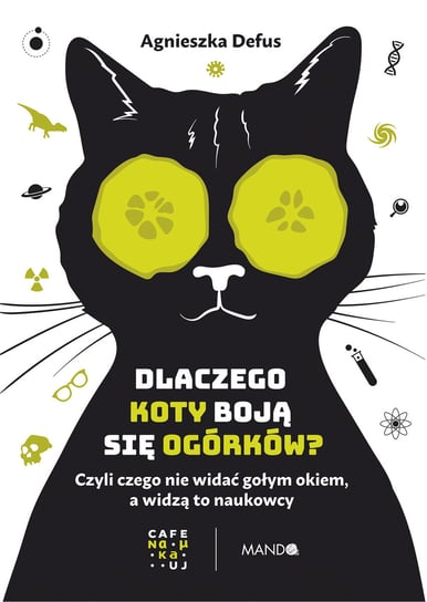 Dlaczego koty boją się ogórków? Agnieszka Defus