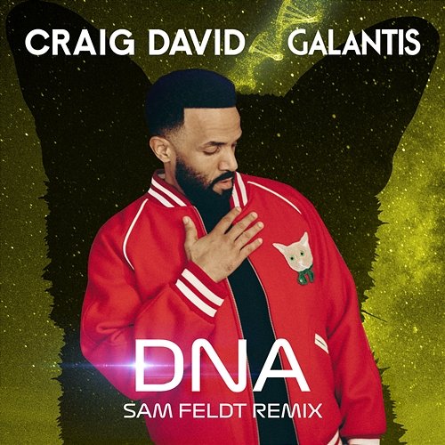 DNA Galantis, Craig David